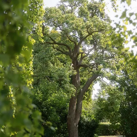 Wonderful Pedersminde Эрёскёбинг