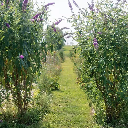 Вилла Wonderful Pedersminde Эрёскёбинг